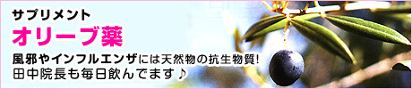 �T�v�������g�@�I���[�u��
