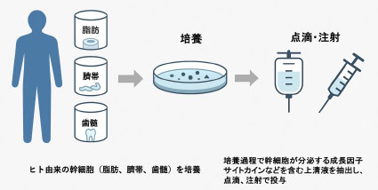 �|�{�㐴�t�������ߒ�